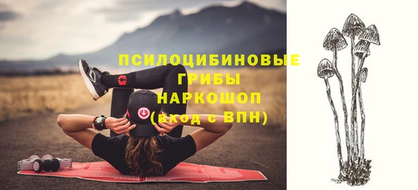 альфа пвп Нефтекумск