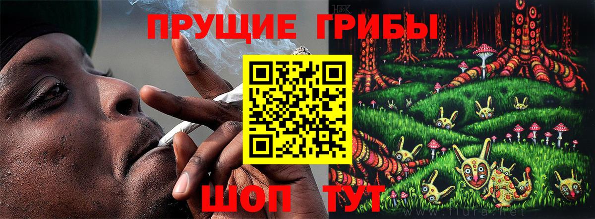 Галлюциногенные грибы прущие грибы  Вход с VPN  купить   Комсомольск-на-Амуре 